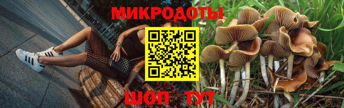 Галлюциногенные грибы MAGIC MUSHROOMS Артёмовский