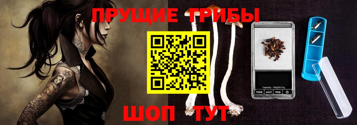 где можно купить наркотик  Галлюциногенные грибы Psilocybe  Вход с VPN  Артёмовский 